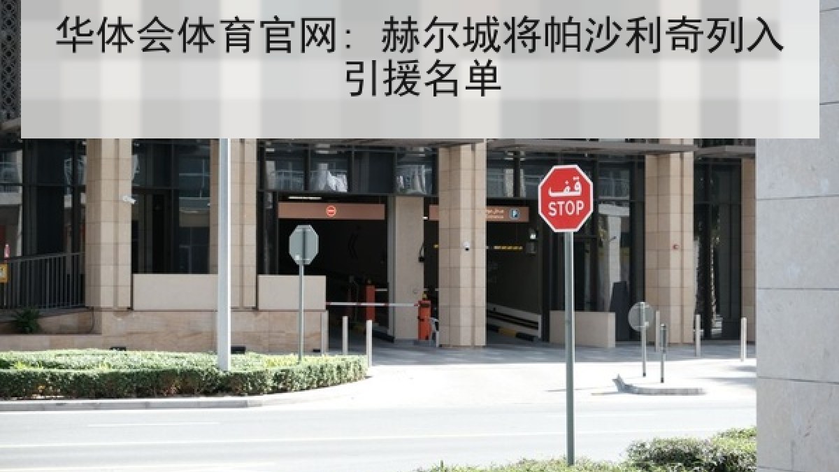 华体会体育官网: 赫尔城将帕沙利奇列入引援名单
